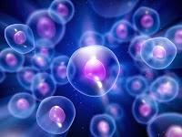 La protocellula sintetica: siamo sempre più vicini a ricostruire la cellula primordiale
