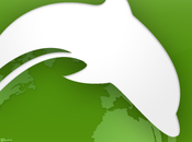 Ecco come abilitare Flash Player Android KitKat