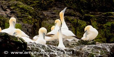 Irlanda, alla scoperta delle Skellig Islands!