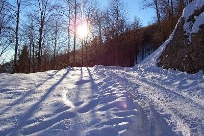 Escursione condivisa Casera Presoldon