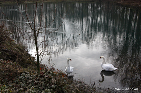 Tach Zesamme (47 e 48/52)