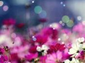 Siate romantiche!