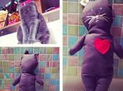 Sunday Dolls: Gattabigia