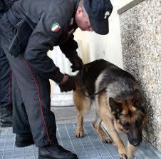 carabinieri