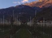 Merano dintorni