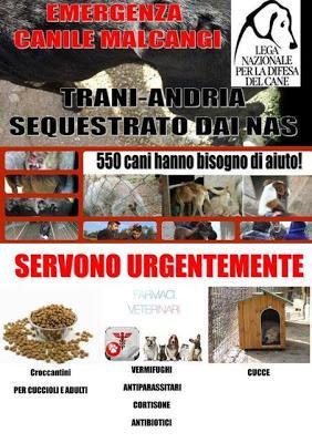 Aggiornamento Canile Malcangi - Senza i volontari accorsi sul posto i cani non sarebbero sopravvissuti. Oggi serve ancora aiuto! https://www.facebook.com/events/187621301431707/?source=1