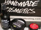 Haul Pre-Natalizio Lush