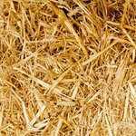 Frozen Synapse, un video per la versione iPad