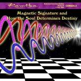 Mp3 - L'Impronta Magnetica e come l'Anima Determina il Destino