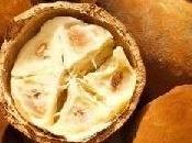 Cupuacu energia. Come perché funziona.