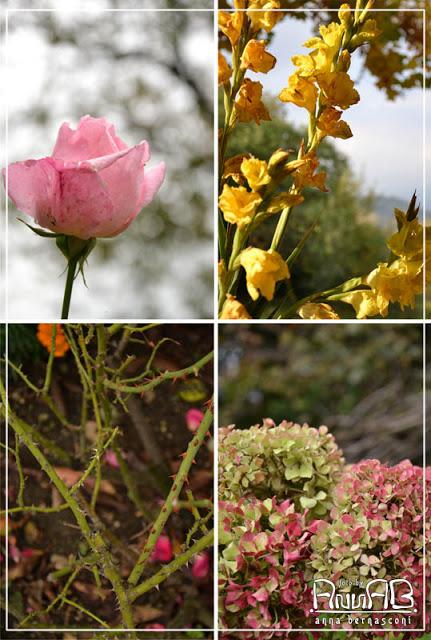 In autunno c'è anche il bianco...e non è la neve!