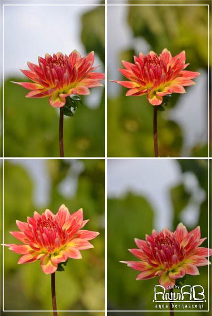 In autunno c'è anche il bianco...e non è la neve!