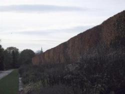 distanzasiepidalconfine