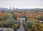 Quando bellezza diventa canada