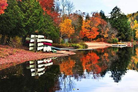 QUANDO LA BELLEZZA DIVENTA CANADA