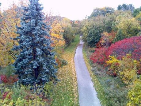 QUANDO LA BELLEZZA DIVENTA CANADA