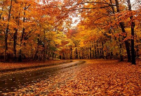 QUANDO LA BELLEZZA DIVENTA CANADA