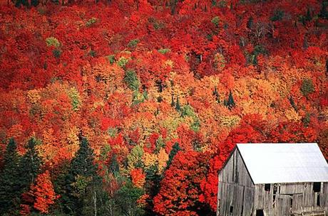 QUANDO LA BELLEZZA DIVENTA CANADA