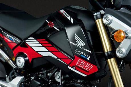 Honda MSX by Yoshimura