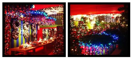 fairytale_-christmas_lights