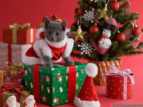 purfect-gifts