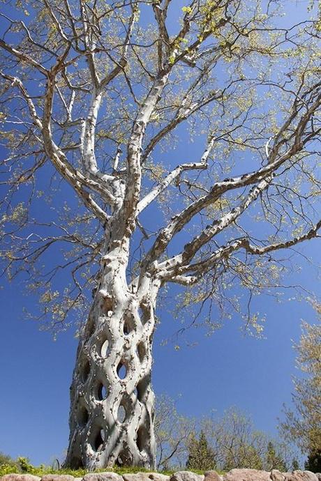 Alberi o capolavori?