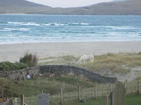 La Scozia di Lucia: le spiagge di Luskentyre