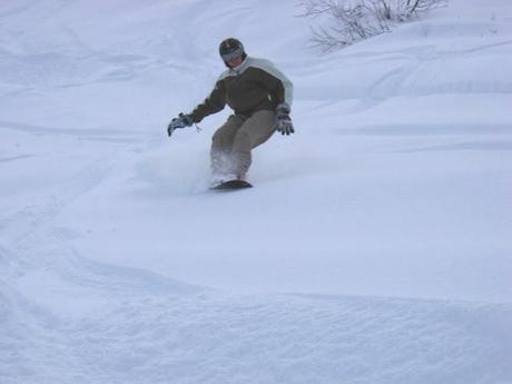 Il Fibi cambia rotta...