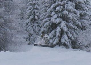 Il Fibi cambia rotta...