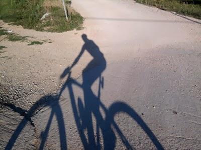 Il Fibi cambia rotta...