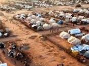 Mission: Todini Tobagi, compensi siano devoluti interamente campi profughi