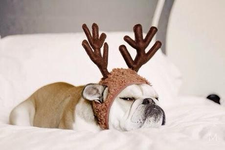CHRISTMAS WISHLIST CHRISTMAS WISHLIST