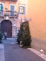 Mercatini di Natale e belle architetture...un giorno a Verona...