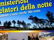 “Pipistrelli: misteriosi volatori della notte” convegno Giarre