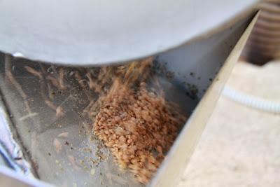 ho chiuso il cerchio, ancora più stretto