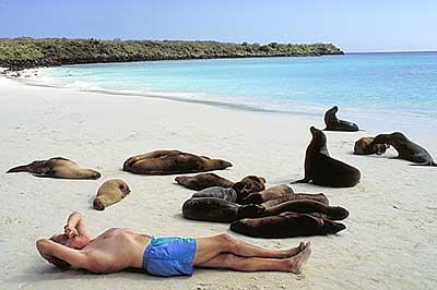 Day  41 – Dreaming of Islas Galapagos.