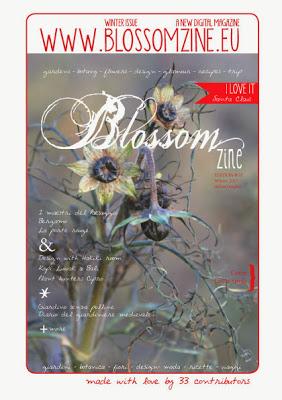 Appunti di vita quotidiana e giardinaggio urbano parla di Blossom zine