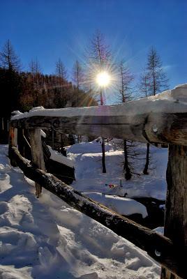 Tra Doyle e Coelho all'Alpe Devero!