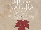 Rerum Natura”