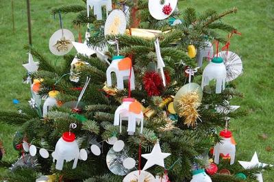 albero-di-natale-ecologico-ed-economico6