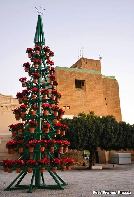 Albero_Natale_Menfi_2013