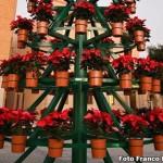 Albero1_Natale_Menfi_2013