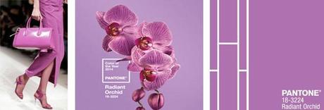 Pantone docet: il colore dell’anno 2014 sarà il radiant orchid!