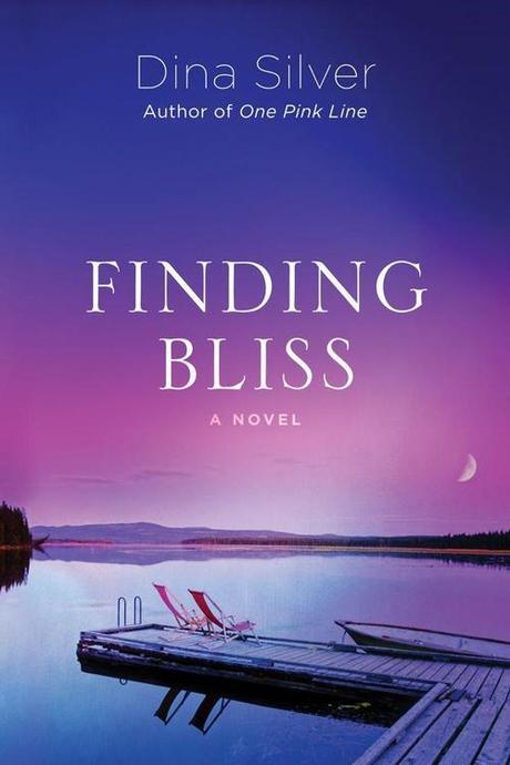 I Still Haven’t Read #14 Finding Bliss by Dina Silver