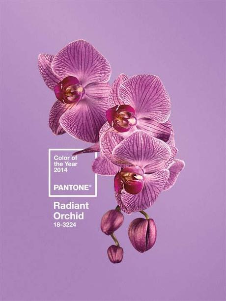 colore pantone radiant orchid