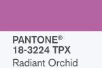 colore Pantone 2014