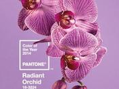 Radiant Orchid colore 2014 secondo Pantone