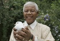 Il mio Mandela