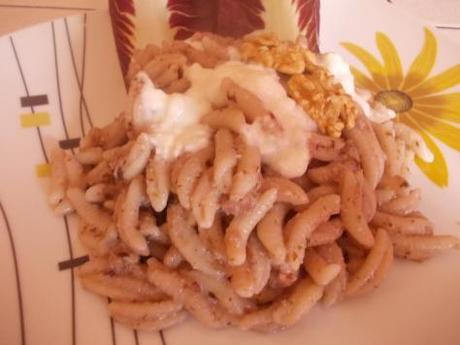 Malloreddus alla crema di radicchio e noci con fonduta di caprino fresco