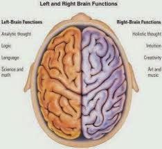 IL CERVELLO: MACCHINA INCREDIBILE